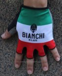 2016 Bianchi Guanti Corti Ciclismo